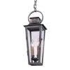 French Quarter 2-Light Aged Pewter Outdoor Hanging Pendant by Troy Lighting -Troy Lighting Sales aged pewter troy lighting outdoor pendant lights f2966 64 1000