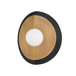 Larson 1 Brass, Black Wall Sconce by Troy Lighting