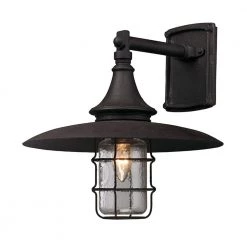 Allegany Centennial Rust Outdoor Wall Lantern Sconce by Troy Lighting