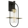 Smyth 1-Light Dark Bronze 22 in. H Outdoor Wall Lantern Sconce with Clear Glass by Troy Lighting -Troy Lighting Sales dark bronze troy lighting outdoor sconces b6393 64 1000