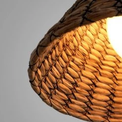 Solana 1-Light Earthen Bronze Pendant by Troy Lighting -Troy Lighting Sales earthen bronze troy lighting chandeliers f7213 fa 1000