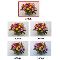 Easy Up 4 in. White Integrated LED Recessed Kit by EnviroLite -Troy Lighting Sales envirolite recessed lighting kits ev407943wh27 77 1000