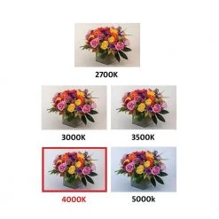 4 in. Bright White LED Easy Up Recessed Can Light with 93 CRI J-Box (No Can Needed) by EnviroLite -Troy Lighting Sales envirolite recessed lighting trims ev407941wh40 66 1000