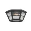 Lake County 13.75 in. 2-Light French Iron, Clear Seeded Flush Mount by Troy Lighting -Troy Lighting Sales french iron clear seeded troy lighting outdoor flush mount lights c2514 frn 64 1000