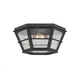Lake County 13.75 in. 2-Light French Iron, Clear Seeded Flush Mount by Troy Lighting