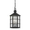 Lake County 4-Light French Iron, Clear Seeded Lantern Outdoor Pendant by Troy Lighting