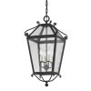 Santa Barbara County 4-Light French Iron, Clear Seeded Lantern Outdoor Pendant by Troy Lighting