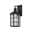 Lake County 1-Light French Iron, Clear Seeded Outdoor Wall Lantern Sconce by Troy Lighting
