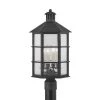 Lake County 11.5 in. 4-Light French Iron, Clear Seeded Post by Troy Lighting -Troy Lighting Sales french iron clear seeded troy lighting post lanterns p2522 frn 64 1000