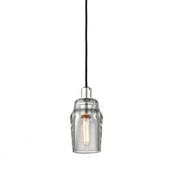 Citizen 1-Light Graphite and Polished Nickel Mini Pendant with Clear Pressed Glass Shade by Troy Lighting
