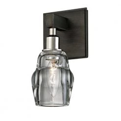 Citizen 1-Light Graphite and Polished Nickel Bath Light with Clear Pressed Glass Shade by Troy Lighting