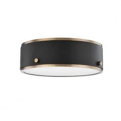 Eli 1-Light Patina Brass Soft Black Small Flush Mount by Troy Lighting