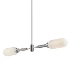 Annex 2-Light Silver and White Anodized Aluminum Cylinder Pendant with Glass Shade by Troy Lighting