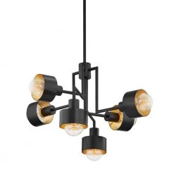 North 6-Light Soft Black Gold Leaf Chandelier by Troy Lighting