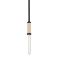 Cruiz 1-Light Soft Black Bulb Pendant Light by Troy Lighting