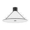 Forrest 25 in. 2-Light Soft Black Semi-Flush Mount by Troy Lighting -Troy Lighting Sales soft black troy lighting flush mount lights c8725 sbk 64 1000