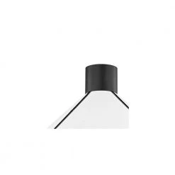 Forrest 25 in. 2-Light Soft Black Semi-Flush Mount by Troy Lighting -Troy Lighting Sales soft black troy lighting flush mount lights c8725 sbk c3 1000