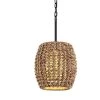 Conga 18 in. W 1-Light Tidepool Bronze Pendant by Troy Lighting -Troy Lighting Sales tidepool bronze troy lighting chandeliers f6753 64 1000