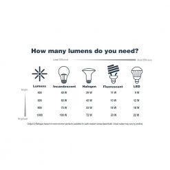 Savannah 12 in. W Vintage Iron Outdoor 3-Light Hanging Light with Clear Seeded Glass by Troy Lighting -Troy Lighting Sales vintage iron troy lighting outdoor pendant lights f6437 44 1000