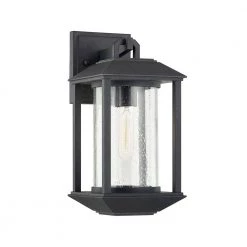 Mccarthy 1-Light Weathered Graphite Wall Sconce with Clear Seeded Glass Shade by Troy Lighting