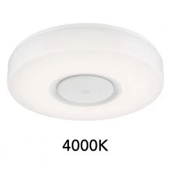 15 in. Adonis White Voice Control Selectable CCT LED Round Ceiling Light Flush Mount by EnviroLite -Troy Lighting Sales white envirolite flush mount lights ev1563rww 06 1f 1000