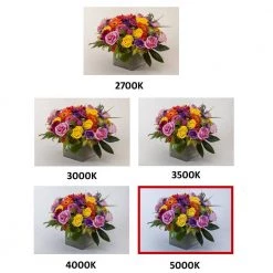 8 ft. T8 LED White Strip Light Fixture with Battery Backup, 5000K by EnviroLite 16 8 ft. T8 LED White Strip Light Fixture with Battery Backup, 5000K by EnviroLite -Troy Lighting Sales white envirolite strip light fixtures st704t1850b 77 1000